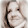 Dorothy Sander Dorothy Sander's profile photo