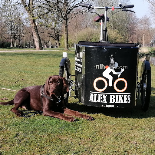 Alex Bikes & Bike rental logo