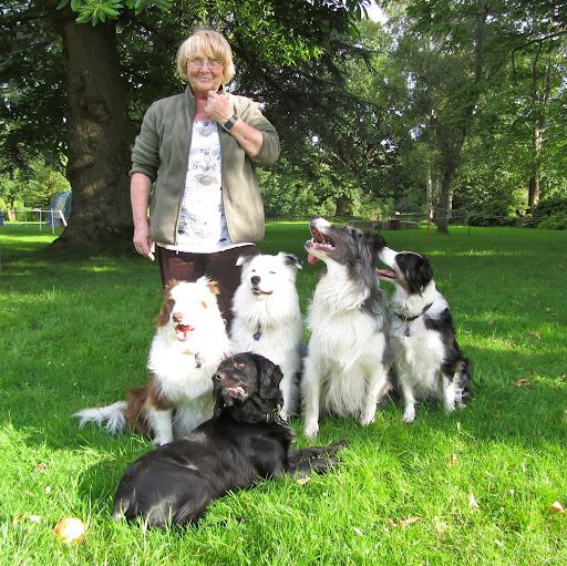 sylvia bishop dog trainer