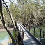 Bridge over Buffalo Creek (345217)