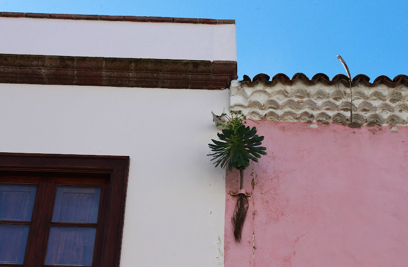 Круиз для лентяев и одиночек: Norwegian Spirit из Барселоны на Канары в январе 2013