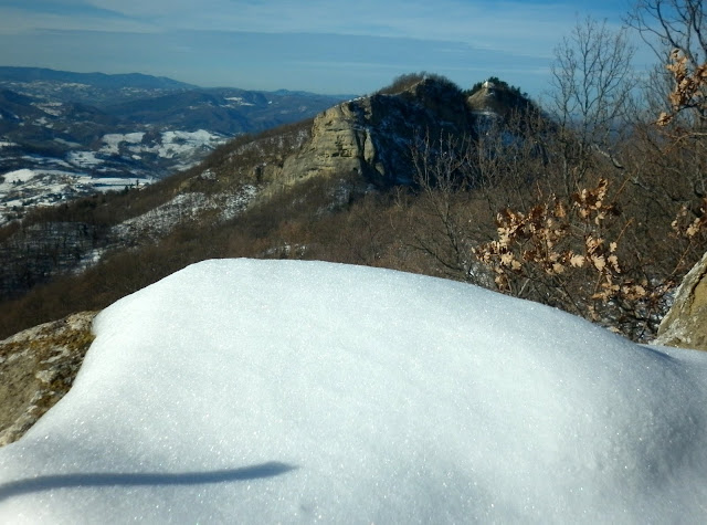 P1000610.JPG