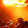 Eric Schroeder Eric Schroeder's profile photo