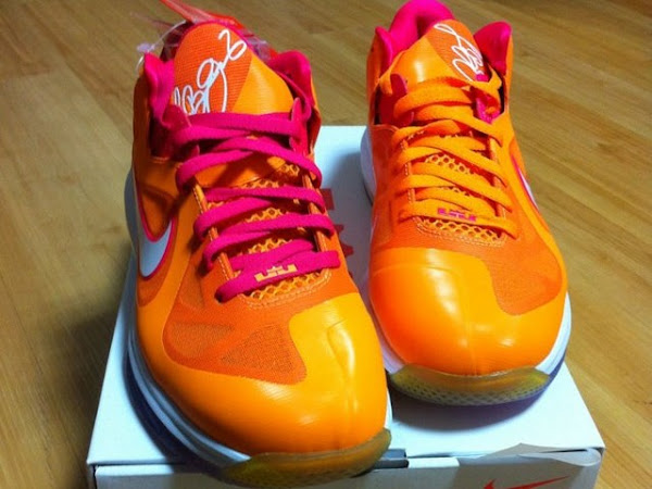 LeBron 9 Low 8220Floridians8221 With a Special Lionhead Outsole