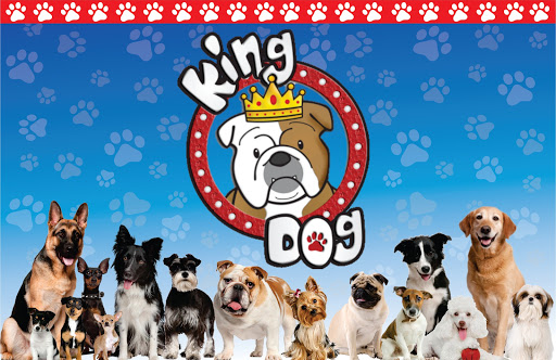 KING DOG Estética Canina, Blvd.las Fuentes 412 B, Las Fuentes Secc Lomas, 88740 Reynosa, Tamps., México, Peluquero de mascotas | TAMPS