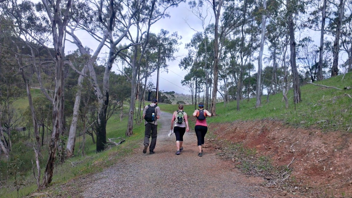 Adelaide Trailblazer 50km