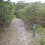 Arrow marker through the heath (104569)