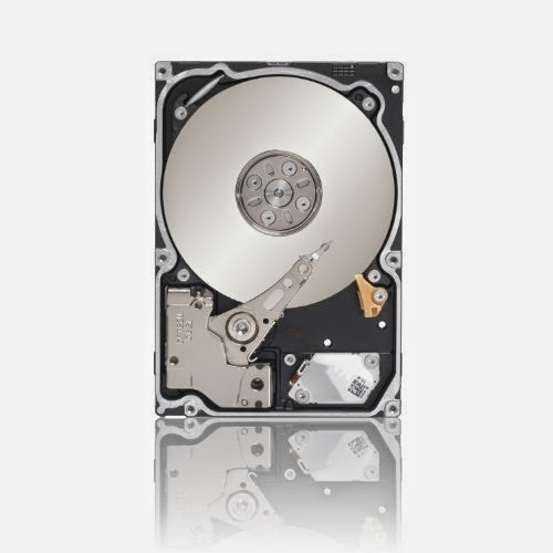Seagate Enterprise Capacity 3.5-Inch HDD (Constellation ES) 2TB 7200RPM SATA 6Gbps 128 MB Cache Internal Bare Drive ST2000NM0033