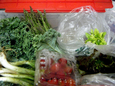 csa box