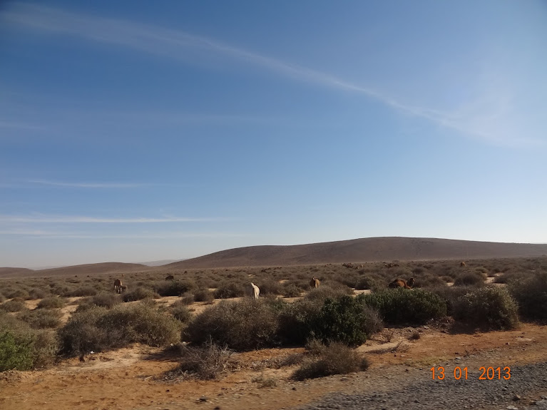 Marrocos e Mauritãnia a Queimar Pneu e Gasolina - Página 4 DSC05683