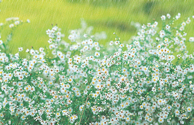 chuva1.gif
