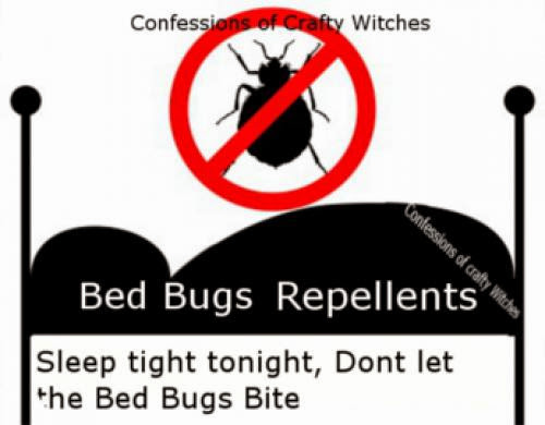 Bed Bug Repellents