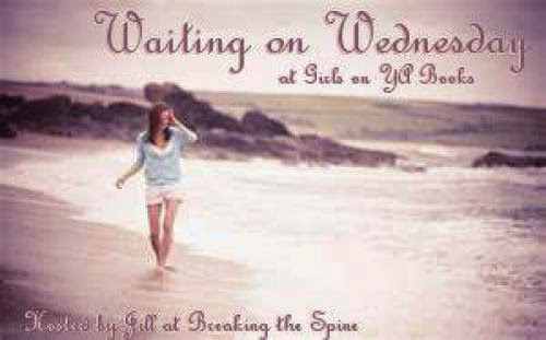 Waiting On Wednesday Let The Sky Fall By Shannon Messenger 29
