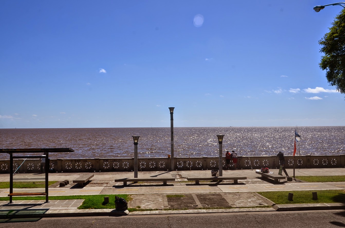 DSC_8324.JPG