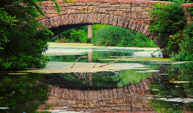 Photo of the Week