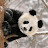Sue Xiang avatar image