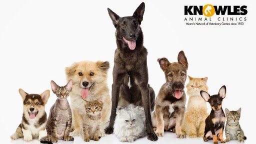 Knowles Animal Clinics