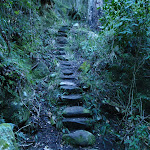 Stairs along Govetts Creek (51032)