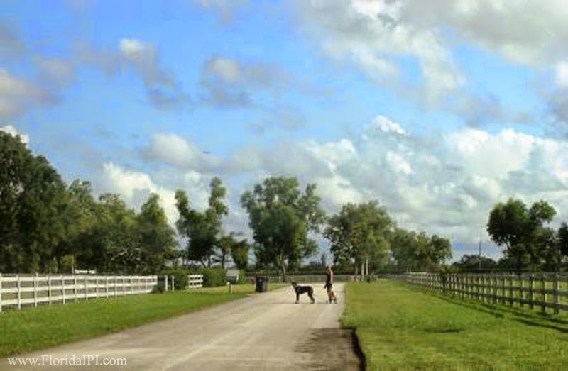 Wellington Fl Southfields equestrian homes for sale Florida IPI International Properties and Investments