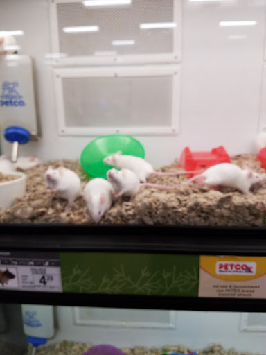Pet Supply Store «Petco Animal Supplies», reviews and photos, 2752 Veterans Rd W, Staten Island, NY 10309, USA