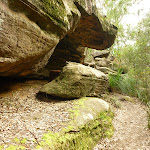 Track on west side of Waitara Creek (333107)