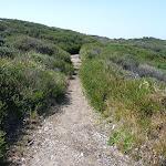 Track towards Cruwee Cove (309812)