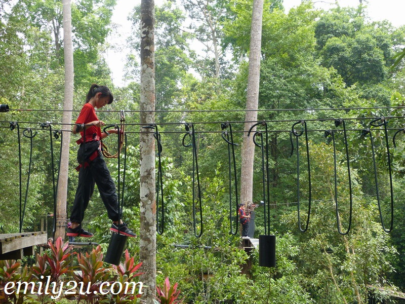Skytrex Taman Botani Shah Alam  4df90e B40cac474458488d9b Business