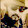 Kjk Baba Jargar Jargar Kjk Baba Jargar Jargar's profile photo