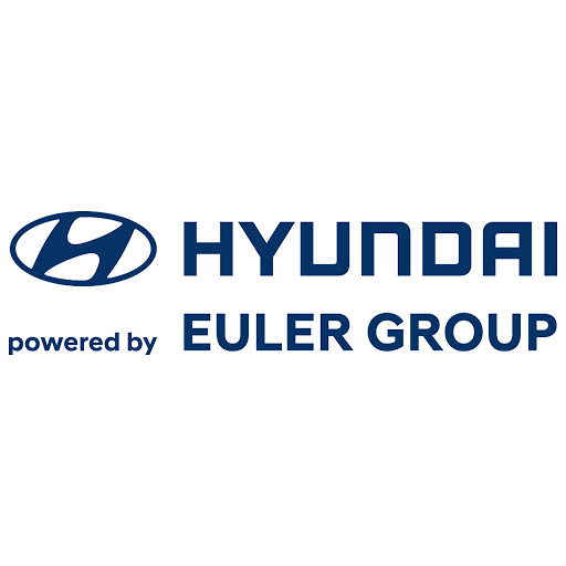 Hyundai powered by Euler Group logo