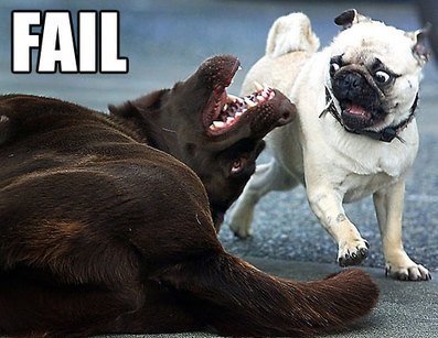 fail fail
