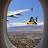 Adrenaline Anxiety avatar image