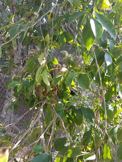 Photos of Jungle Fun