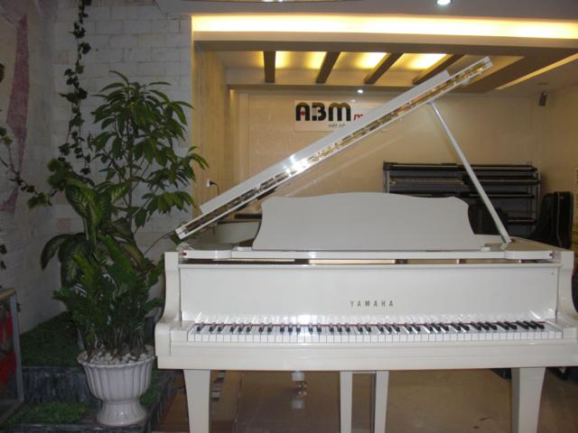 Kho%2Bdan%2B%25281%2529 Đàn Piano tại ABM Music