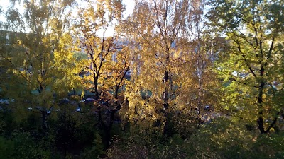 Photos of Square Kikin Chamber