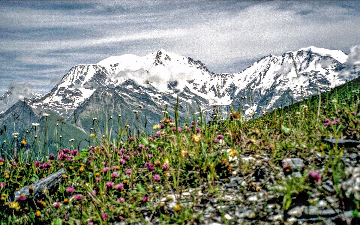 Mont Blanc Scharfentiefe Tiefenschärfe Fotografieren 