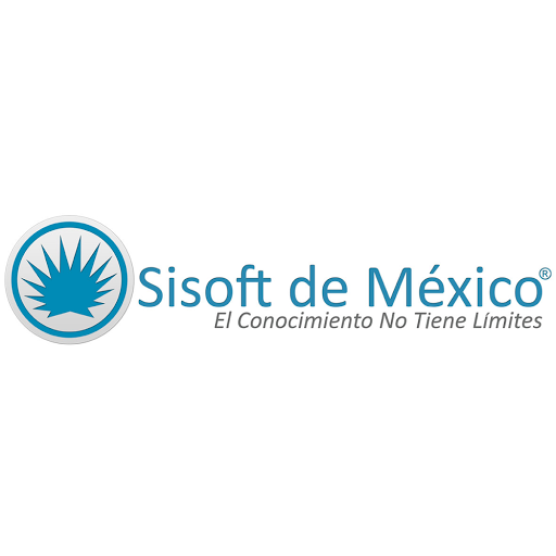 SISOFT DE MEXICO S.A DE C.V, Prado Sur 555, Lomas de Chapultepec V Secc, 11000 Ciudad de México, CDMX, México, Consultor informático | Ciudad de México