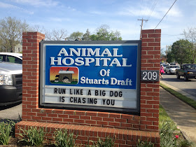Animal Hospital of Stuarts Draft: Run like a big dog is chasing you