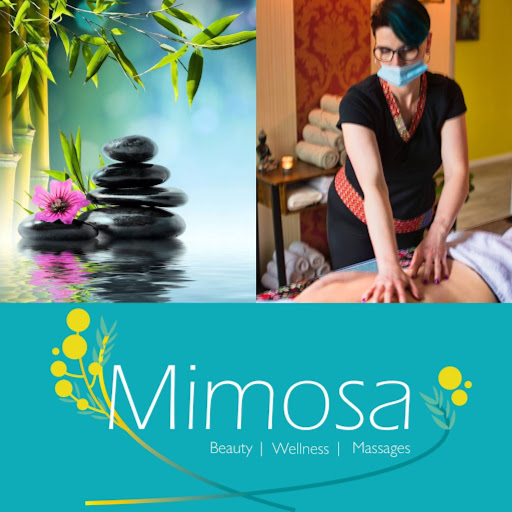 Massage salon Mimosa beauty & wellness logo