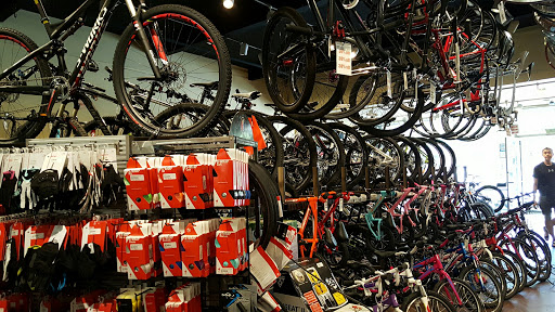 Bicycle Store «Evolution Bike Shop», reviews and photos, 19685 Stevens Creek Blvd, Cupertino, CA 95014, USA