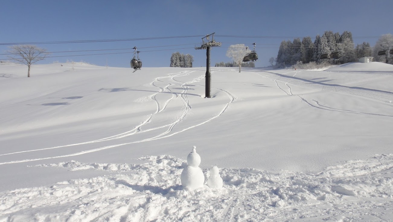 nozawa onsen tour