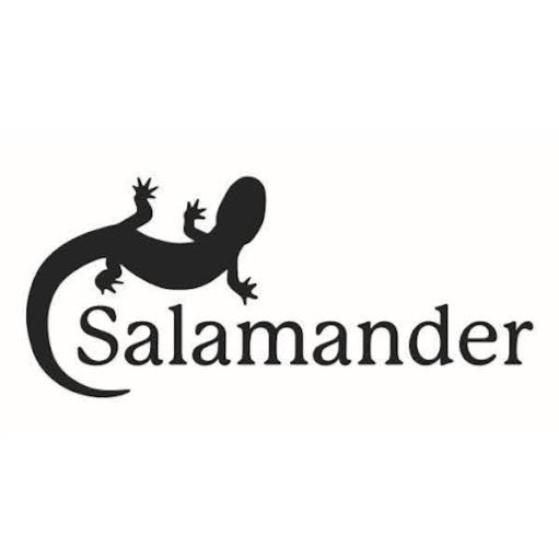 Salamander Verlag logo