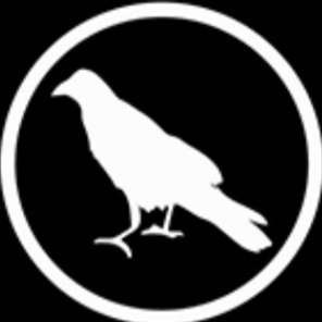 Raven's Den Music School logo