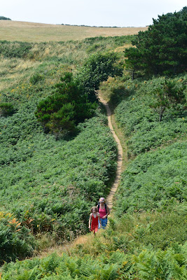 Wandelen
