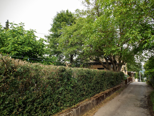 Friedrichsruh