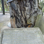 Plaque at Explorers Tree (410759)