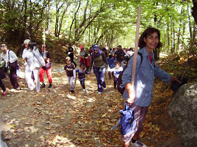 Засаждане на Училищна гора в землището на Драгалевския манастир