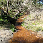 Cossing the lower end of Ten Mile Hollow Creek (167864)