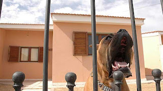 En defensa propia  Perro-vigilante-seguridad