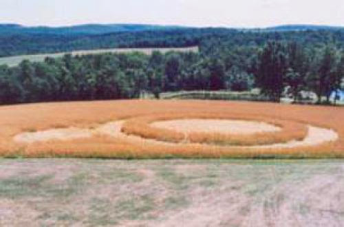 Crop Circles Human Hoax Or Alien Artwork