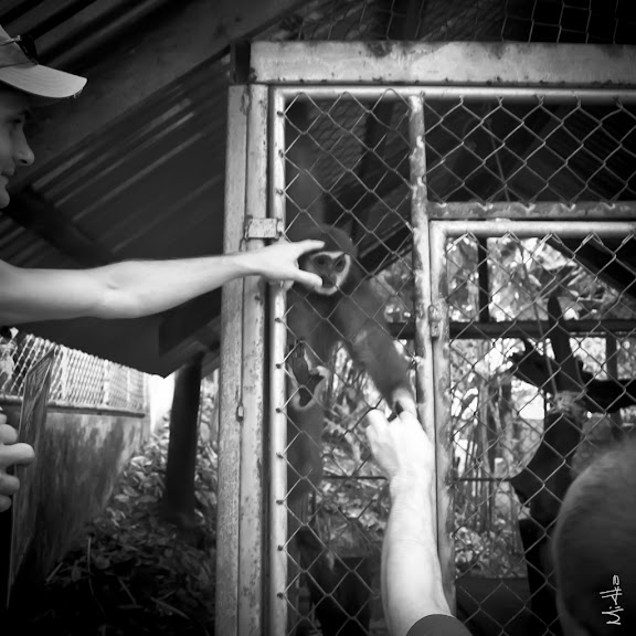 первый Тай, Пукет, апрель 2011 (фото-видео-впечатления)